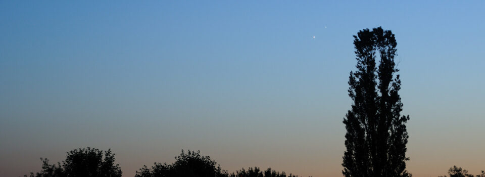 Silhouette eines Baums vor klarem Himmel mit Venus-Jupiter-Konjunktion, zwei helle Punkte dicht beieinander.